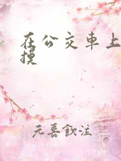 在公交车上被人摸