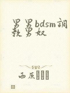 男男bdsm调教男奴