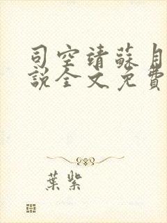 司空靖苏月汐小说全文免费阅读无弹窗