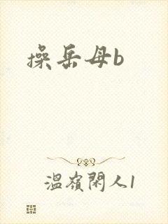 操岳母b