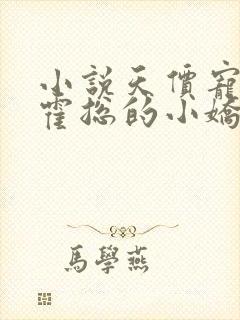 小说天价宠婚:霍总的小娇妻