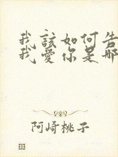 我该如何告诉你我爱你是哪首歌歌词