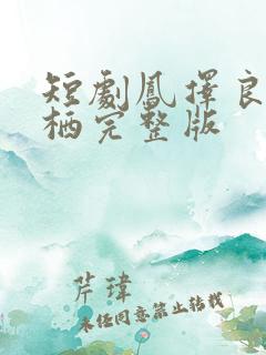 短剧凤择良木而栖完整版
