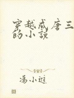 穿越成唐三他哥的小说