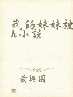 我的妹妹被偷奸h小说