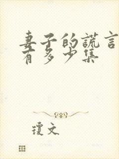 妻子的谎言一共有多少集