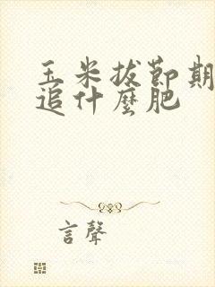 玉米拔节期需要追什么肥