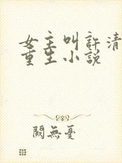 女主叫许清欢的重生小说