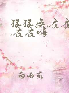狠狠操,夜夜爽,夜夜嗨