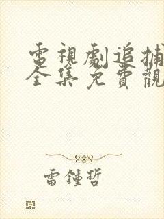 电视剧追捕二王全集免费观看