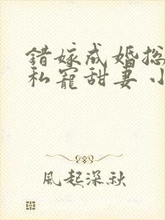 错嫁成婚总裁的私宠甜妻 小说