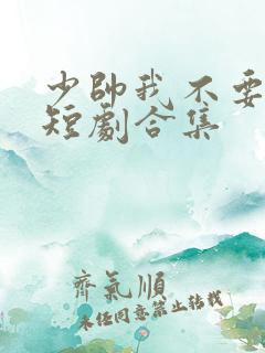 少帅我不要你了短剧合集