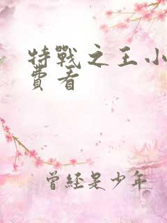 特战之王小说免费看