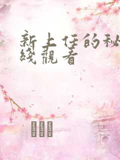 新上任的秘书在线观看