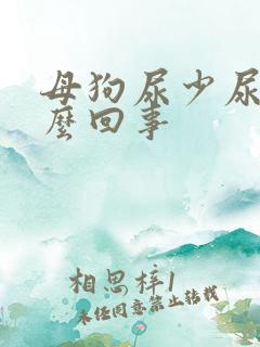 母狗尿少尿频怎么回事