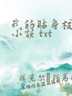 我的贴身校花 小说 txt