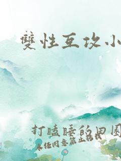 双性互攻小说