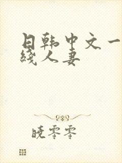 日韩中文一区在线人妻