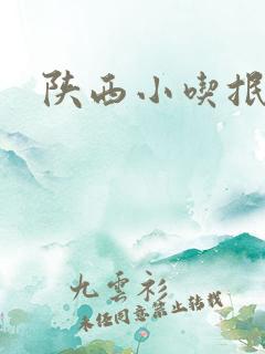陕西小吃抿节