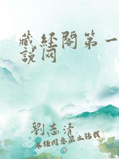 藏经阁第一版小说网
