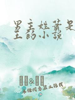男主姓萧是摄政王的小说