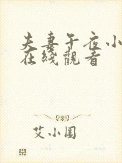夫妻午夜小视频在线观看
