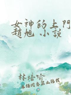 女神的上门豪婿赵旭 小说