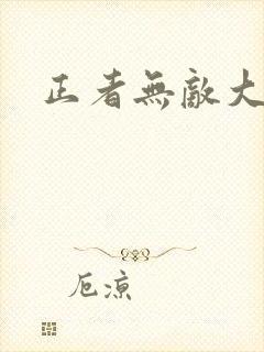 正者无敌大结局