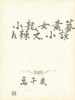 小龙女黄蓉系列h辣文小说