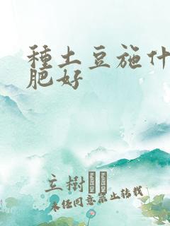 种土豆施什么底肥好