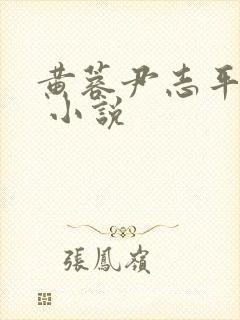黄蓉尹志平小武 小说