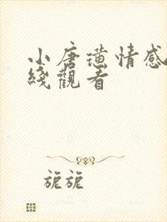 小唐璜情感史在线观看