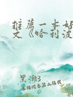 推荐一本好书范文《哈利波特》