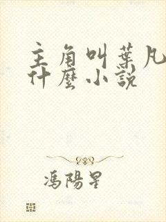 主角叫叶凡的是什么小说