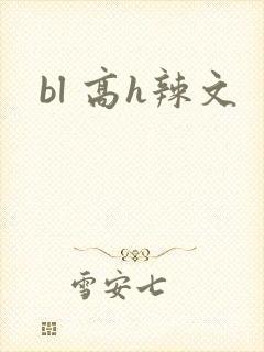 bl 高h辣文