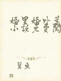 婚里婚外叶晓井小说免费阅读