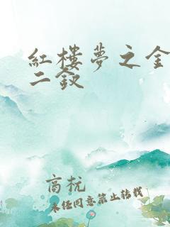 红楼梦之金陵十二钗 红楼梦之金陵十二钗