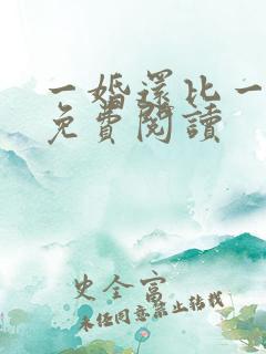 一婚还比一婚高免费阅读