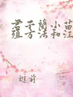 君子兰小苗的养殖方法和注意事项