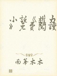 小说《权力巅峰》免费阅读