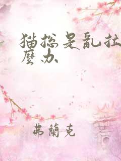 猫总是乱拉屎怎么办