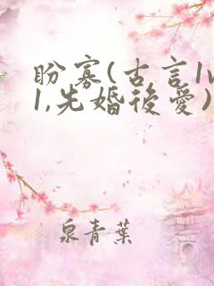 盼寡(古言1v1,先婚后爱)小说免费阅读