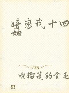 暗恋我十四年的她