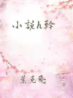 小说h干