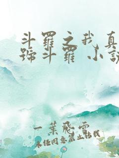 斗罗之我真是封号斗罗 小说