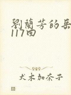 刘兰芳的岳飞传117回 刘兰芳的岳飞传117回