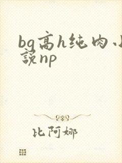 bg高h纯肉小说np