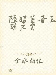 陆昭菱晋王的小说免费