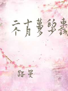 二十万的车租一个月多少钱