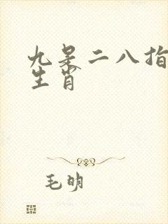 九是二八指什么生肖